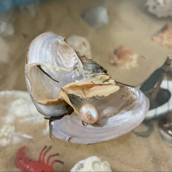 Gift set Chasteness Pearl set necklace earrings ring Christmas & holidays - Picture 12 of 16